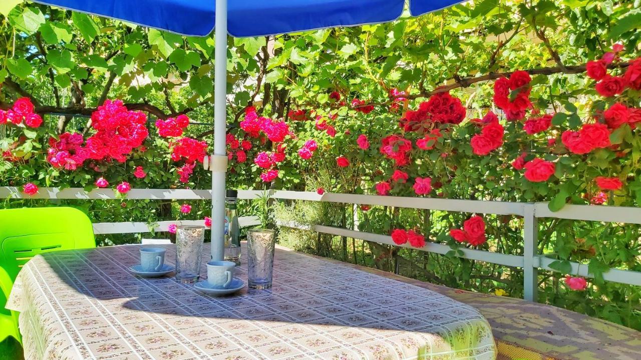 Guest House Pogradeci Dış mekan fotoğraf